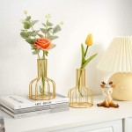2PC Gold Flower Vase for Centerpieces Home Decor Clear Glass Test Tube Vases Decorative FUNTEREST Metal Modern Vase Small Bud Vases Gifts for Women Wedding Living Room Table Decorations