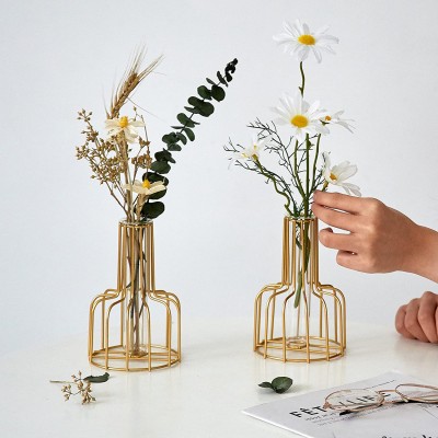 2PC Gold Flower Vase for Centerpieces Home Decor Clear Glass Test Tube Vases Decorative FUNTEREST Metal Modern Vase Small Bud Vases Gifts for Women Wedding Living Room Table Decorations