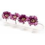 Chive ‘Hudson Flute’ Multi-Chambered Flower Bud Vase — Cute Beautiful Glass Vases for Flowers & House Plants — Large 4-Hole