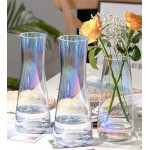 DEANGSHI Irised Clear Glass Tall Flower Vase,Thick Bottom Large Glass Vases for Centerpieces Flowers Decor,10 Inch Big Glass Decorative Vase for Living Room Kitchen Office HomeIrised Clear