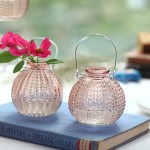 ELEGANTTIME Single Glass Bud Vase Pink Glass Vases for Centerpieces Decor Glass Flower Vase Bottle with Crok Wire Iron Handle Design Perfect for Cafes Office Table Home and Garden