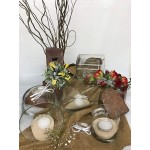 Floral Supply Online 6" Tall x 6" Wide Cylinder Glass Vase and Flower Guide Booklet for Weddings Events Decorating Arrangements Flowers Office or Home Decor.