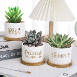 Friendship Gifts for Women Best Friend Ever Succulent Pots are Unique Gift Ideas for BFF Sister Aunt Women Birthday Gift Small Best Friend Ever