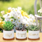 Friendship Gifts for Women Best Friend Ever Succulent Pots are Unique Gift Ideas for BFF Sister Aunt Women Birthday Gift Small Best Friend Ever