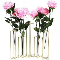 Metal Hinged Plant Stand Set with Glass Test Tube Vases Gold 6 Pieces