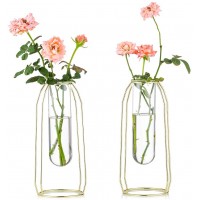 NUPTIO 2 Pcs Flower Vases with Iron Art Frame 23.5cm Height Geometric Plant Pot Centerpiece Plant Vase Plants Tabletop Display Holder for Wedding Indoor Table Office Living Room Decor Gold