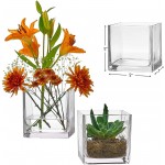 PARNOO Set of 12 Glass Square Vases 4 x 4 h – Clear Cube Shape Flower Vase Candle Holders Perfect as a Wedding Centerpcs Home Decoration
