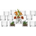 PARNOO Set of 12 Glass Square Vases 4 x 4 h – Clear Cube Shape Flower Vase Candle Holders Perfect as a Wedding Centerpcs Home Decoration