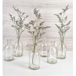 Serene Spaces Living Bud Vases Apothecary Jars Decorative Glass Bottles Centerpiece for Wedding Reception Mini Flower Vases Small Medicine Bottles for Home Decor Clear Set of 6