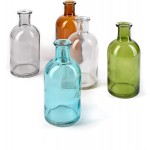 Serene Spaces Living Bud Vases Apothecary Jars Decorative Glass Bottles Centerpiece for Wedding Reception Mini Flower Vases Small Medicine Bottles for Home Decor Clear Set of 6