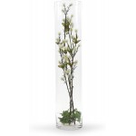 WGV Cylinder Vase Width 6" Height 24" Clear Tall Glass Container Terrarium Candle Holder for Wedding Centerpiece Party Event Home Office Decor 1 Piece