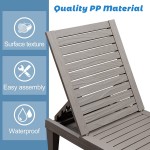 SUPERJARE Outdoor Lounge Chair Patio Chaise Lounge with 5-Position Adjustable Backrest Waterproof Resin Chaise Lounger for Beach Patio Pool and Deck Grey