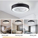 Ceiling Fan with Lighting LED Fan Ceiling Fan 36 W Ceiling Lighting dimmable with Remote Control 3 Files Adjustable Wind Speed Modern bedroom 22 inches black