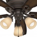 Hunter Ambrose Indoor Low Profile Ceiling Fan with LED Light and Pull Chain Control 52" Onyx Bengal