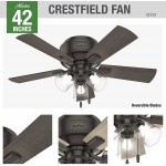 Hunter Crestfield Indoor Low Profile Ceiling Fan with LED Light and Pull Chain Control 42" Noble Bronze
