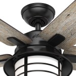 Hunter Fan 54 inch Casual Matte Black Indoor Ceiling Fan with Light Kit and Remote Control Renewed