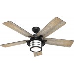 Hunter Fan 54 inch Casual Matte Black Indoor Ceiling Fan with Light Kit and Remote Control Renewed