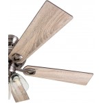 Prominence Home 50388 Glenmont Rustic Ceiling Fan 52" Antique Pewter