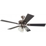 Prominence Home 50388 Glenmont Rustic Ceiling Fan 52" Antique Pewter