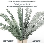 18" Artificial Eucalyptus Stems Faux Greenery for Coffee Table Decor Farmhouse Home Decor Wedding Decor and Wreath Making Fake Plants Leaves for Hobo Room DecorDark Green,24 Stems