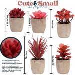 5 Small Fake Plants for Living Room Decor – Realistic Mini Artificial Plants & Flowers Potted Fake Plants Bedroom Aesthetic Bathroom Shelf or Indoor Home Office Desk Faux Succulent Plants Pot Bulk