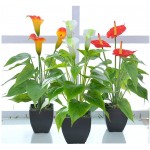 Artificial Flower Calla Lily Faux Small Potted Plant with Black Pot Fake Bonsai Flower for Home Office Indoor and Outdoor Occasions Decor Red Fake Flower