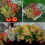 Artificial Flowers Outdoor Fake Plants 8 PCS Silk Plastic Outside Faux Boxwood Uv Resistant Face Mums Greenery Window Box Home Garden Fall Decor Farmhouse ThanksgivingRed