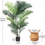 Ferrgoal Artificial Areca Palm Plants 5.2Ft Fake Dypsis Lutescens Tree with 17 Trunks in Pot and Woven Seagrass Belly Basket Perfect Faux Plant for Home Indoor Outdoor Office Modern Decor Green 2Pc