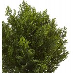 Nearly Natural 6880 2’ Cedar Artificial Bush Indoor Outdoor Green