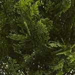 Nearly Natural 6880 2’ Cedar Artificial Bush Indoor Outdoor Green