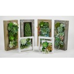 Room & Bloom Artificial Succulent Wall Art Flower Decor Kitchen Decorations Lounge Room Dining Room Picture 3D Living Room Floral Framed Fake Faux Hanging Succulents House Decor Green Hanger 10" x 10"