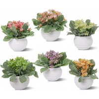 Zuvas Fake Plants 6 Packs Small Artificial Plastic Plants Set Home Decor Mini Potted Faux Flowers and Herb Greenery Leaves for Bathroom Office Table Shelf Decoration
