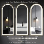 Raybee 64" x 22" Arched Full Length Mirror with LED Lights 3 Colors Free Standing Wall Mounted Full Body Mirror for Bedroom Living Room Oversized Floor Mirror with Double Row Lamp Beads Gold