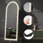 Raybee 64" x 22" Arched Full Length Mirror with LED Lights 3 Colors Free Standing Wall Mounted Full Body Mirror for Bedroom Living Room Oversized Floor Mirror with Double Row Lamp Beads Gold