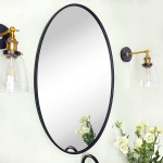 TEHOME Farmhouse Oval Bathroom Mirror Black Metal Framed Bathroom Vanity Mirrors Wall Mounted 20x30