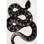 nuLOOM Thomas Paul Serpent Area Rug 5' x 8' Black & White