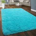 Ompaa Soft Fluffy Area Rug for Living Room Bedroom 4x5.9 Teal Blue Plush Shag Rugs Fuzzy Shaggy Accent Carpets for Kids Girls Rooms Modern Apartment Nursery Dorm Indoor Furry Decor