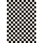 Persian Area Rugs Black 5x7 1909 Checkered White 5 x 7 Area Rug Carpet 5 ft x 7 ft 1909 Black 5x7
