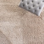 SAFAVIEH California Premium Shag Collection SG151 Non-Shedding Living Room Bedroom Dining Room Entryway Plush 2-inch Thick Area Rug 8' x 10' Beige