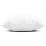 EDOW Throw Pillow Inserts Set of 4 Lightweight Down Alternative Polyester Pillow Couch Cushion Sham Stuffer Machine Washable. White 12x20