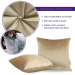 GuildreyTex Throw Pillow Covers Cozy Velvet Square Soft Solid Decorative Cushion Pillowcases for Couch Bed and Car 18 x 18 Inches Champagne Brown Pack of 2