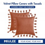 MIULEE Pack of 2 Velvet Soft Solid Decorative Throw Pillow Cover with Tassels Fringe Boho Accent Cushion Case for Couch Sofa Bed 20 x 20 Inch Orange