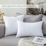 MIULEE Throw Pillow Insert Hypoallergenic Premium Pillow Stuffer Sham Rectangle for Decorative Cushion Bed Couch Sofa 12x20 Inch