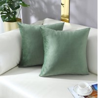 mixeoo Comfy Sage Green Throw Pillow Covers Decorative Square Solid Thick Velvet Super Soft Cushion Cases Home Decor for Sofa Couch Living Room Chair Set of 2 20 x 20 Inch