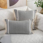 OJIA Modern Throw Pillow Cover with Tassels Decorative Liana Fringe Accent Cushion Case Farmhouse Woven Pillowcase for Sofa Chair Couch Bed Decor Lumbar 12 x 20 Inches Gray