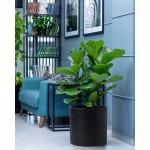 10 Inch 12 Inch 14 Inch Set of 3 Plastic Planter Pots for Plants with Drainage Hole and Seamless Saucers Black Color XX-Large 74-E-XXL-2