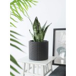 Black Planter Pots for Plants Indoor 8 Inch Ceramic Vintage-Style Hobnail Textured Flower Pot with Drainage Hole for Modern Home DecorPOTEY 056302 Plants NOT Included