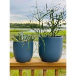 Blue Ceramic Planter Pot Set Large Porcelain Flower Pot 10" & 8" inch w  Drainage Hole Great Planters for All Indoor House Plants Home Office Gift GreenMind Design Pearl Plant not Included