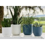 Blue Ceramic Planter Pot Set Large Porcelain Flower Pot 10" & 8" inch w  Drainage Hole Great Planters for All Indoor House Plants Home Office Gift GreenMind Design Pearl Plant not Included