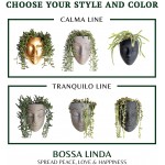 Bossa Linda Face Wall Planter | Unique Head Planter for Indoor Wall Decor | Perfect as a Succulent Planter or Cactus Planter Calma Design Gold